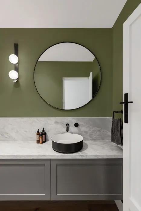 Behr Aloe Thorn minimalist bathroom