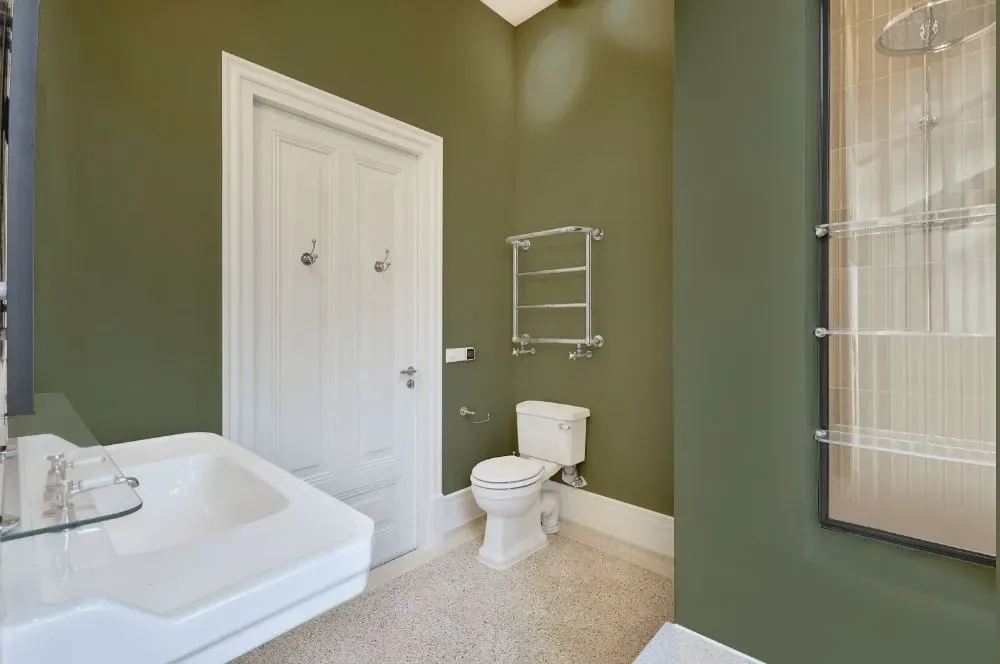 Behr Aloe Thorn bathroom