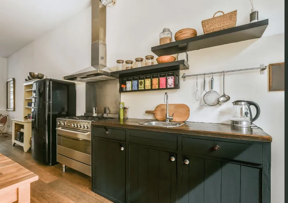 Behr Alpine Trail kitchen cabinets