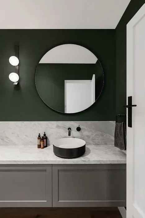 Behr Alpine Trail minimalist bathroom