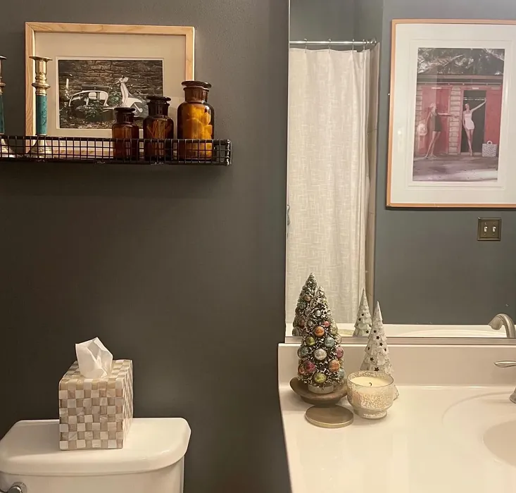 Behr Antique Tin bathroom color review