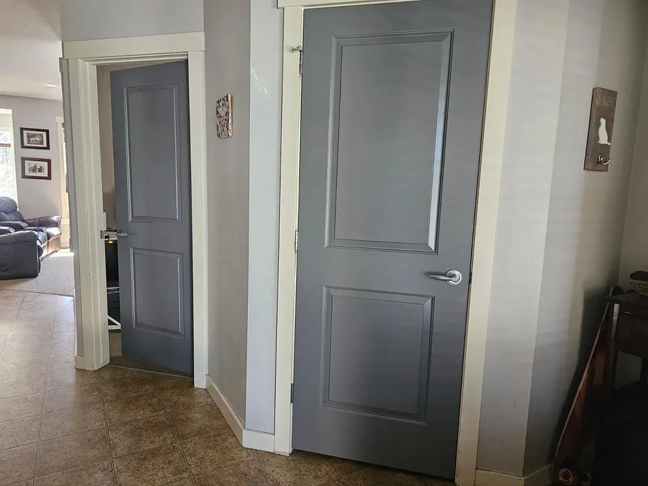 Behr Antique Tin door color