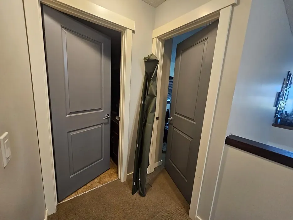 Behr Antique Tin door color review