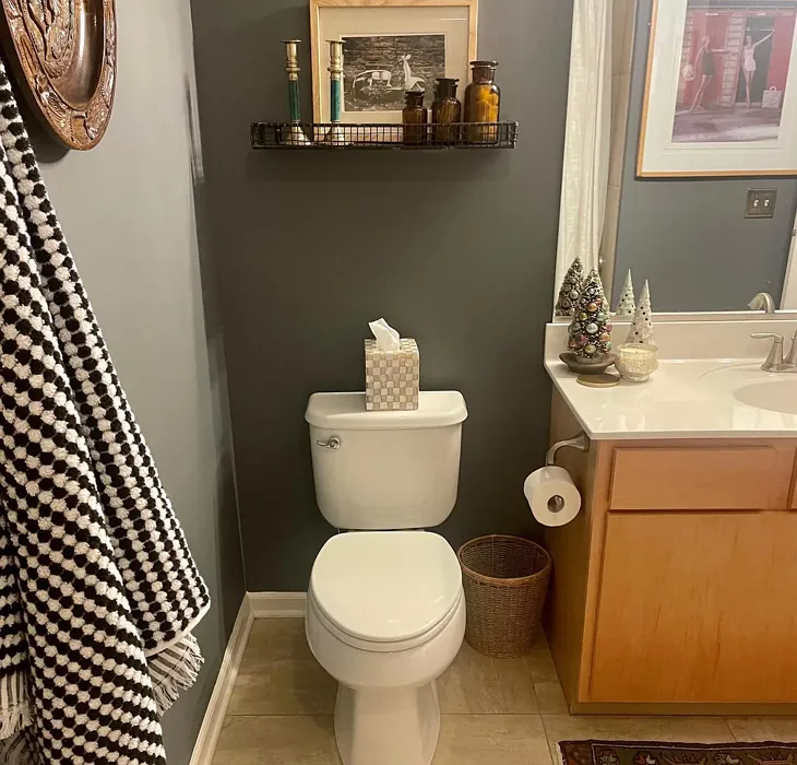 Behr Antique Tin bathroom 