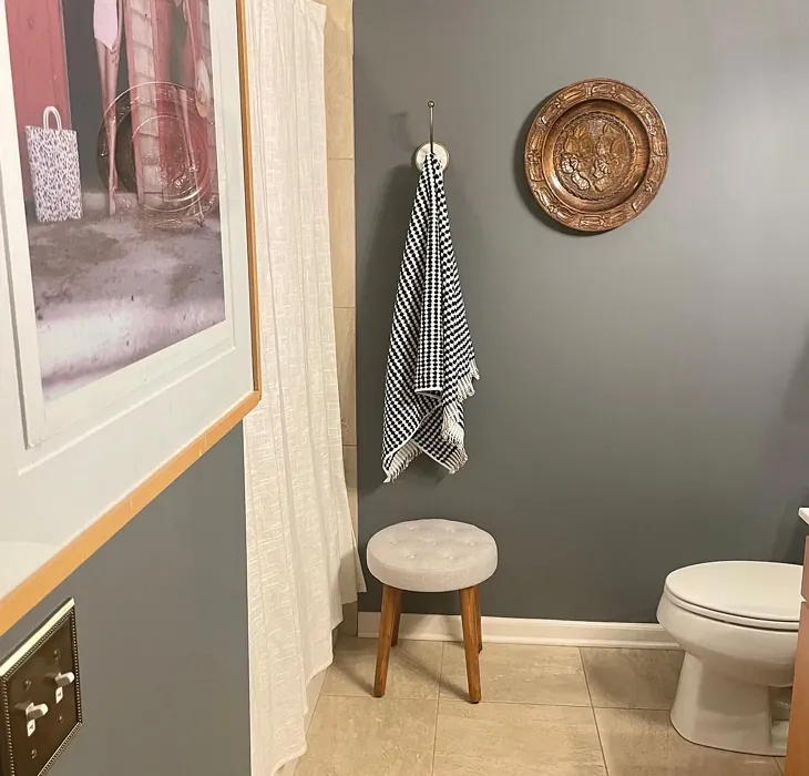 Behr Antique Tin bathroom paint review