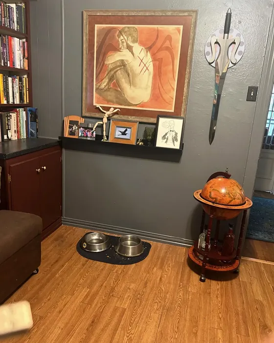 Behr Antique Tin wall paint color review