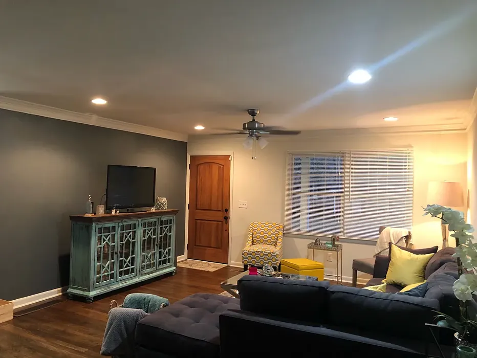 Behr Antique Tin living room accent wall