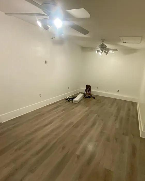 Arcade White wall paint review