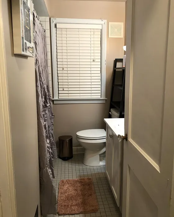 Behr Armadillo bathroom interior