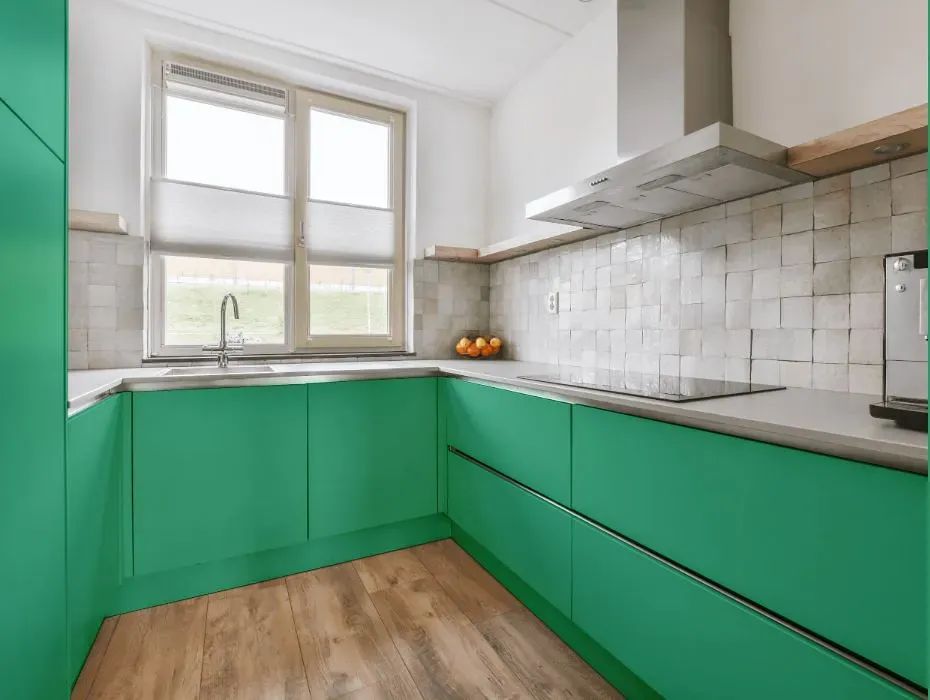 Behr Aruba Green small kitchen cabinets