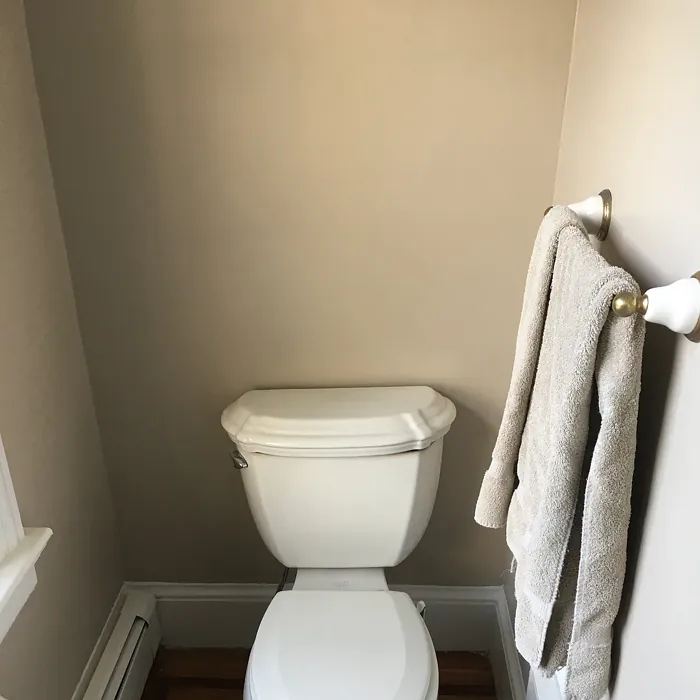 Behr Ashen Tan bathroom review