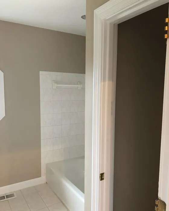 Behr Ashen Tan bathroom color