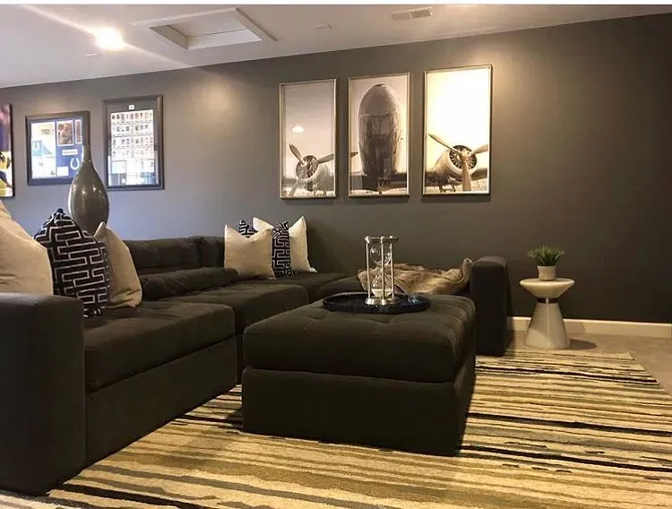 Behr Asphalt Gray living room interior