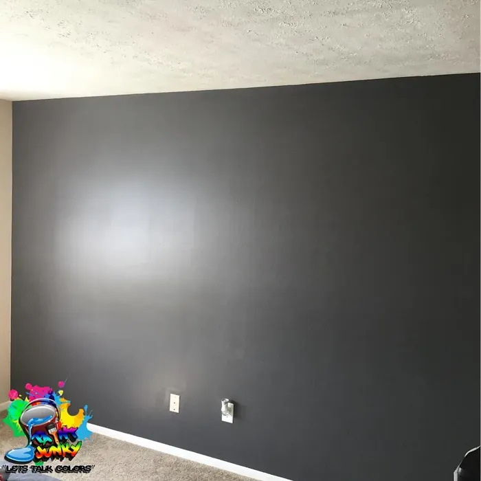 Behr Asphalt Gray accent wall color