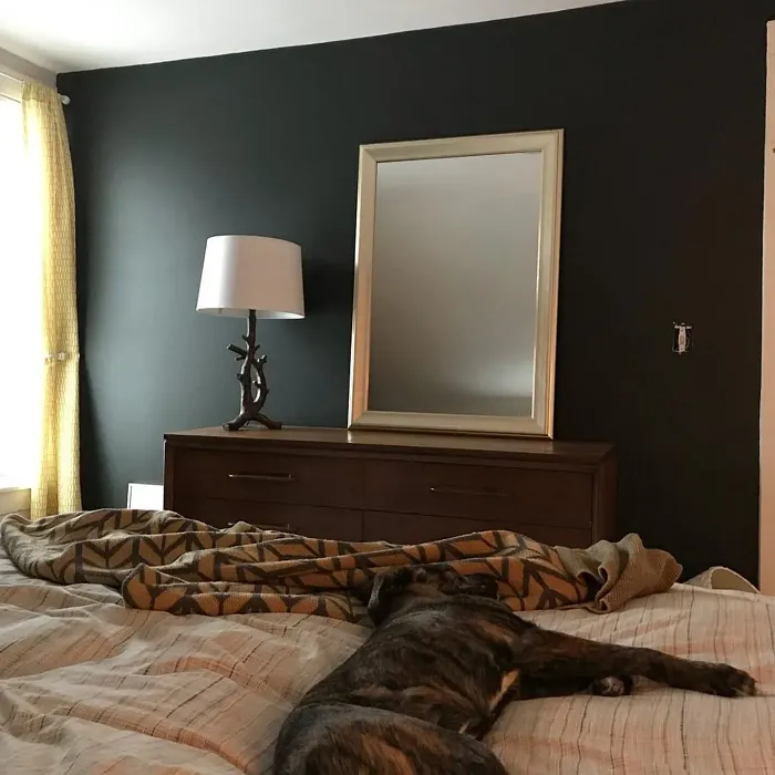 Behr Astronomical bedroom color