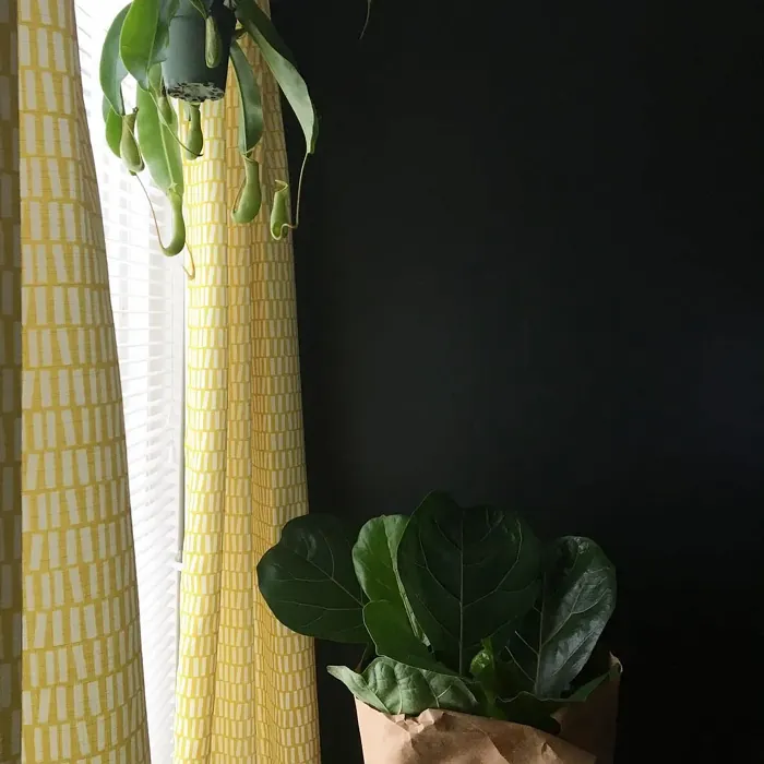 Behr Astronomical wall paint color