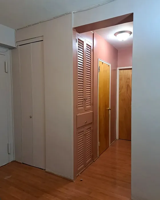 Behr Auburn Glaze hallway paint Behr Auburn Glaze hallway paint