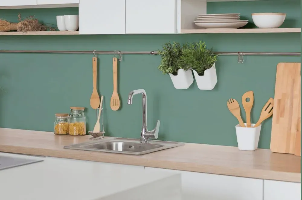 Behr Australian Jade kitchen backsplash