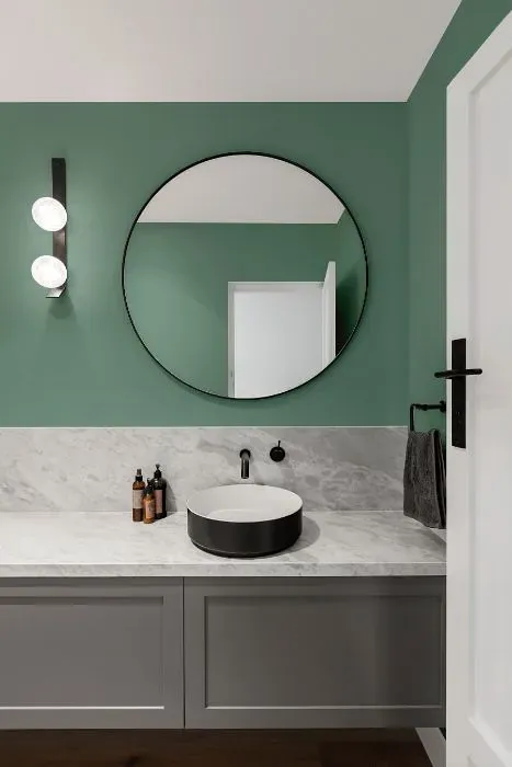 Behr Australian Jade minimalist bathroom