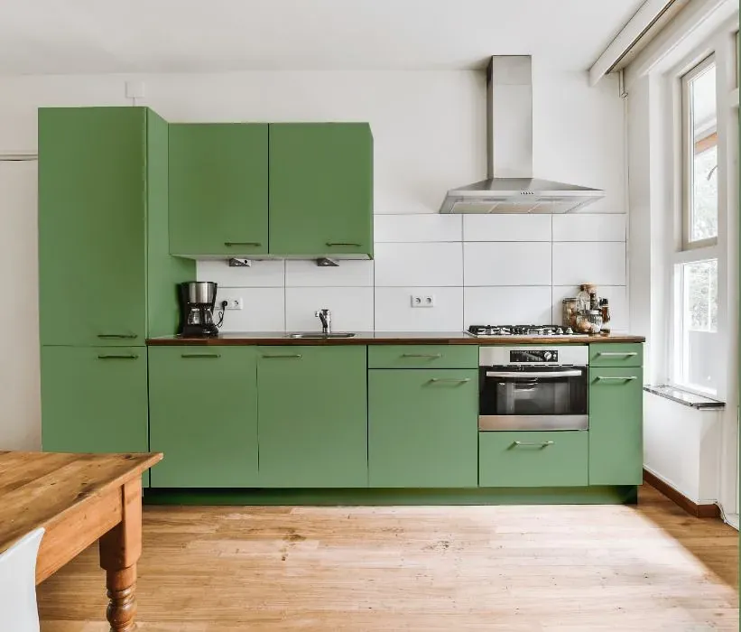 Behr Baby Spinach kitchen cabinets