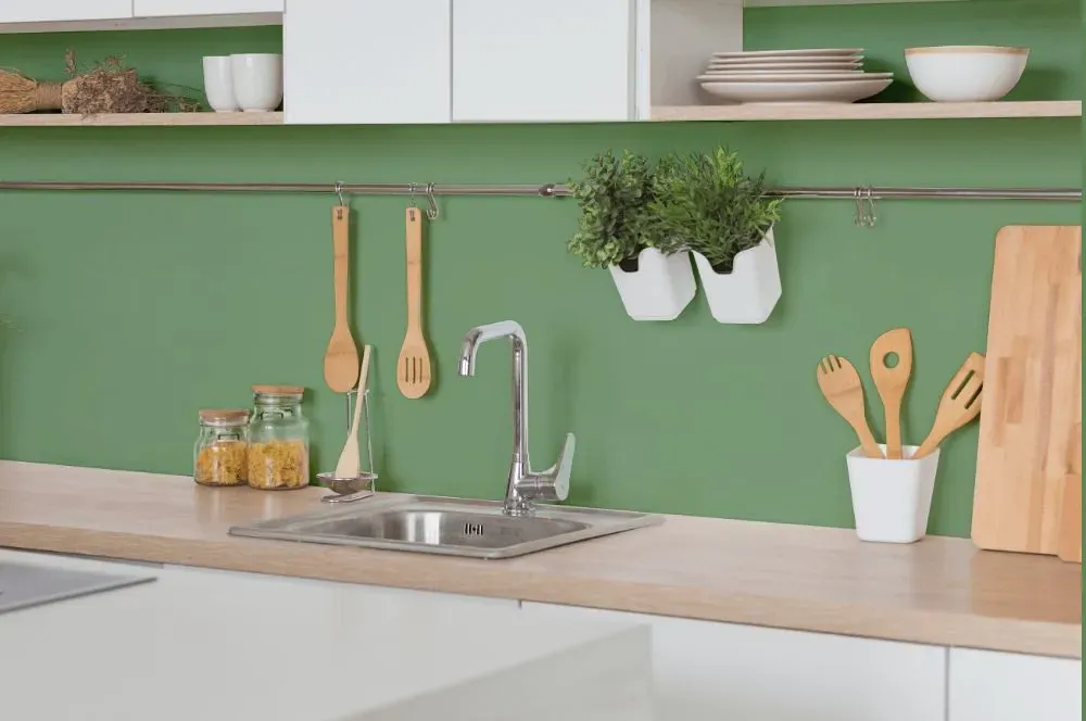 Behr Baby Spinach kitchen backsplash