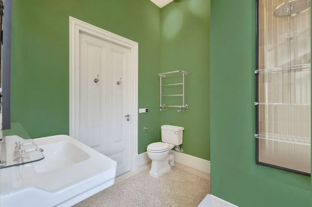 Behr Baby Spinach bathroom