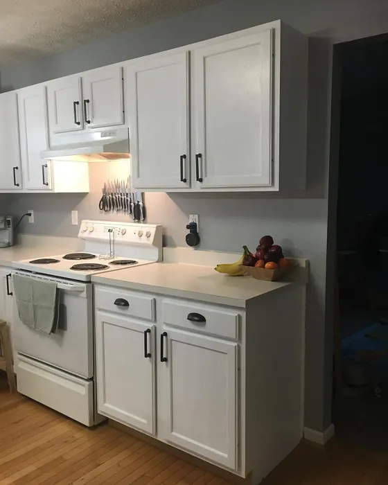 Behr BL-W09 kitchen cabinets 