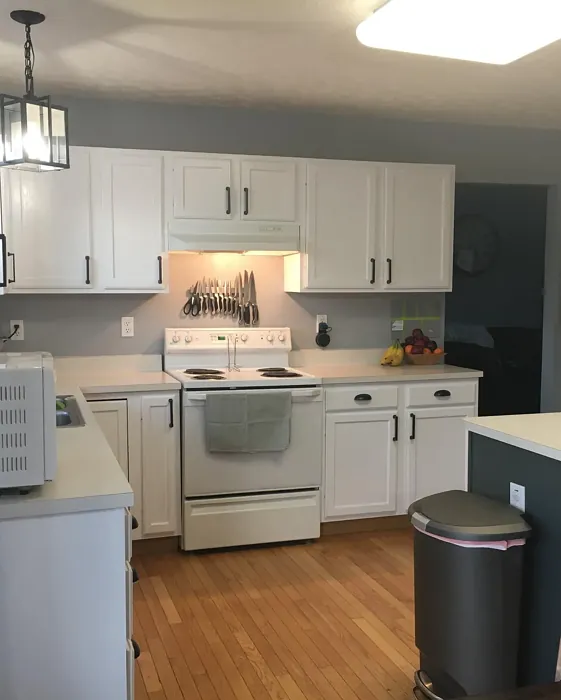 Behr BL-W09 kitchen cabinets color