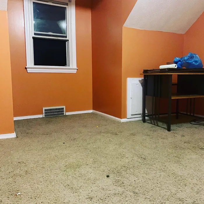 Behr Balcony Sunset wall paint review