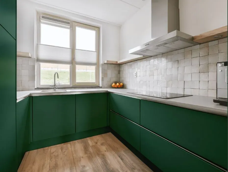 Behr Billiard Green small kitchen cabinets