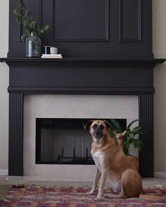 Behr Black Mocha living room fireplace color review