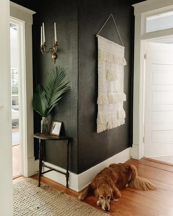 Behr Black Mocha hallway paint