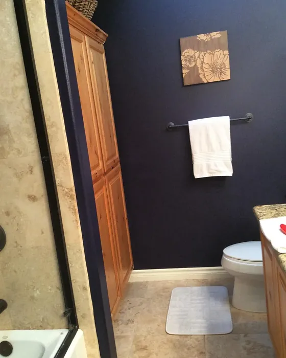 Behr Black Sapphire bathroom color