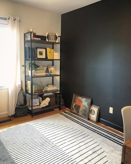 Behr Blackout living room color