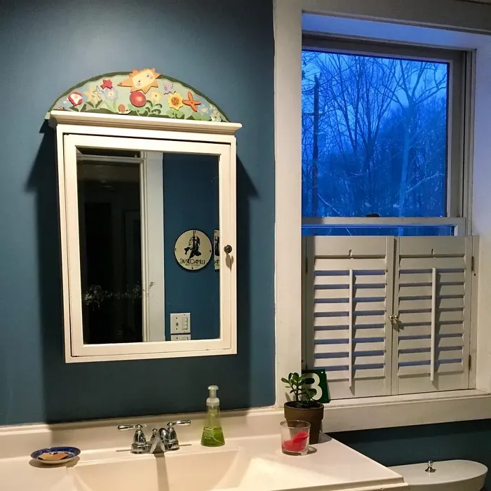 Behr S470-5 bathroom color review