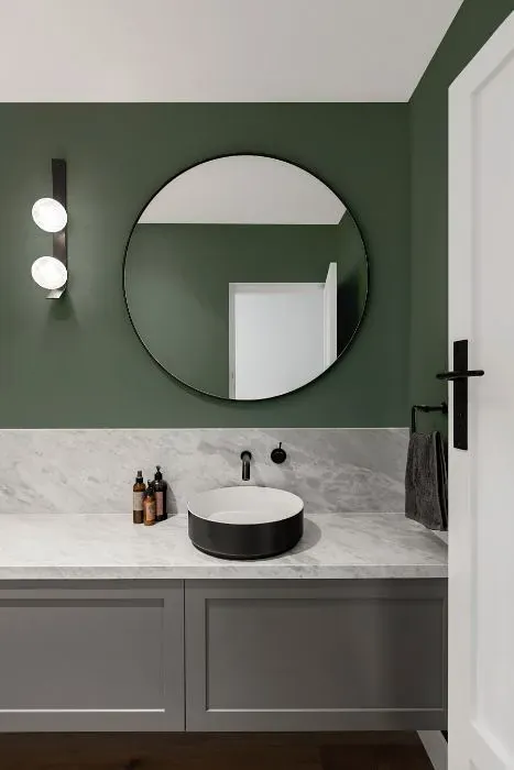 Behr Boreal minimalist bathroom
