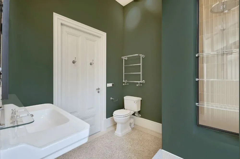 Behr Boreal bathroom