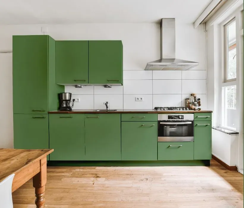 Behr Botanical Green kitchen cabinets