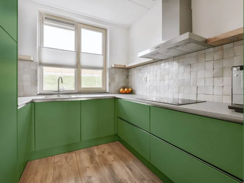 Behr Botanical Green small kitchen cabinets