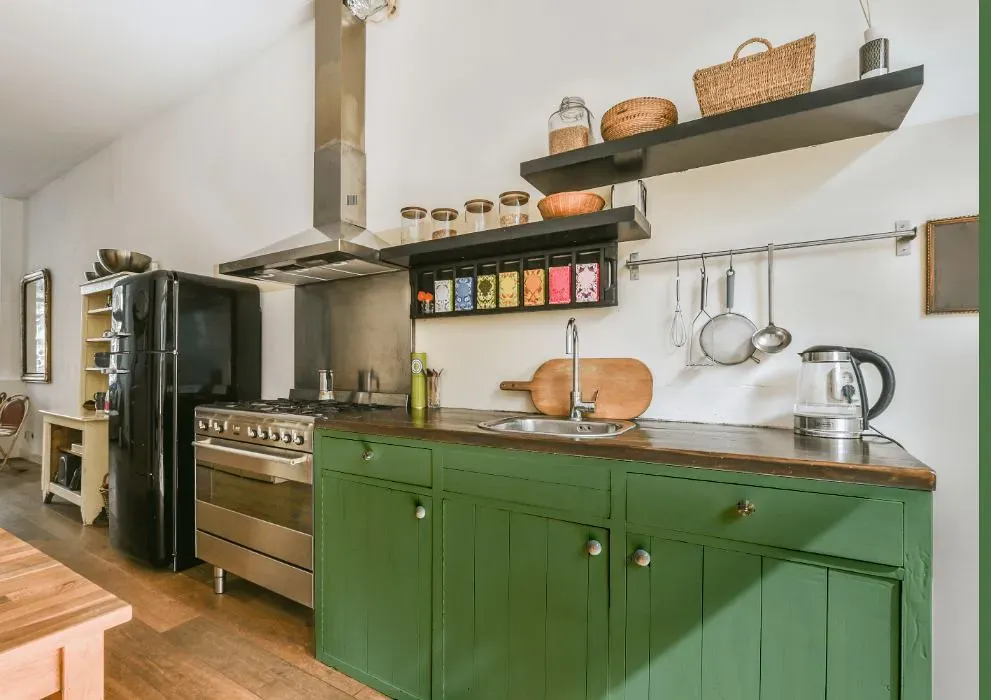Behr Botanical Green kitchen cabinets