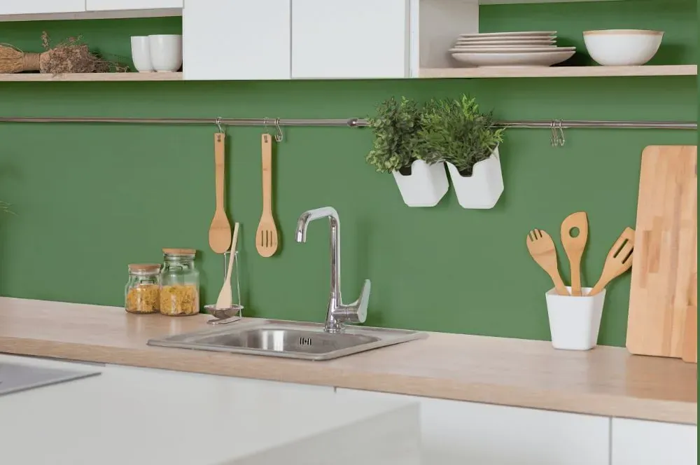Behr Botanical Green kitchen backsplash