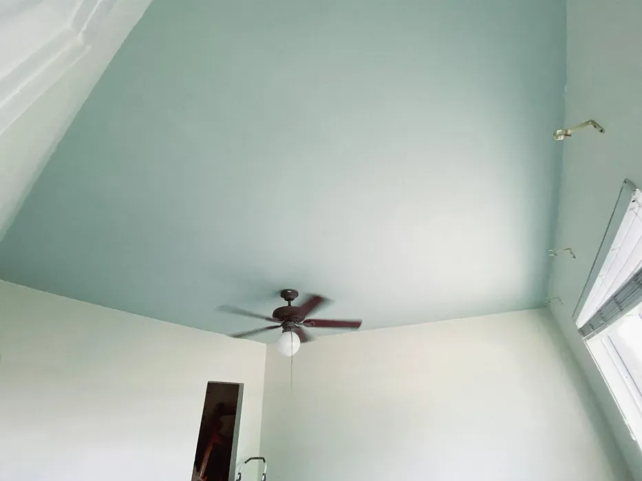 Behr Breezeway ceiling color