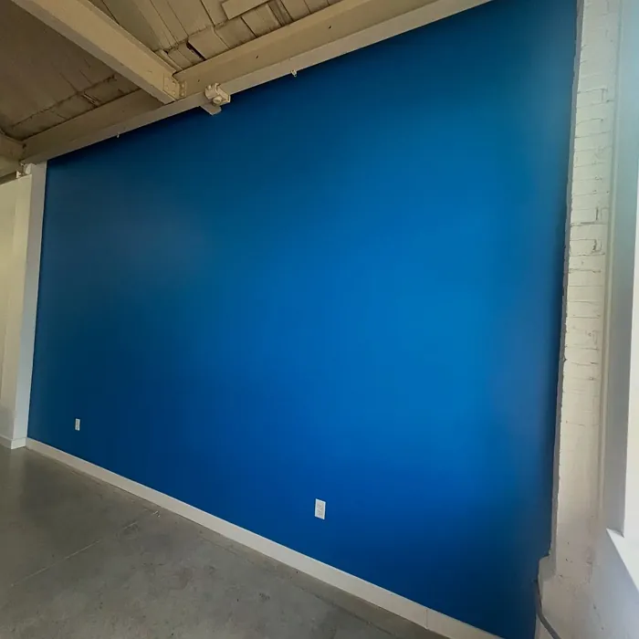 Behr Brilliant Blue accent wall 