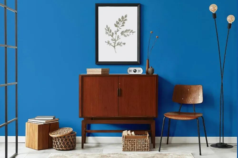 Behr Brilliant Blue japandi interior