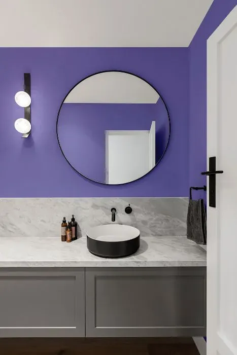 Behr Brocade minimalist bathroom