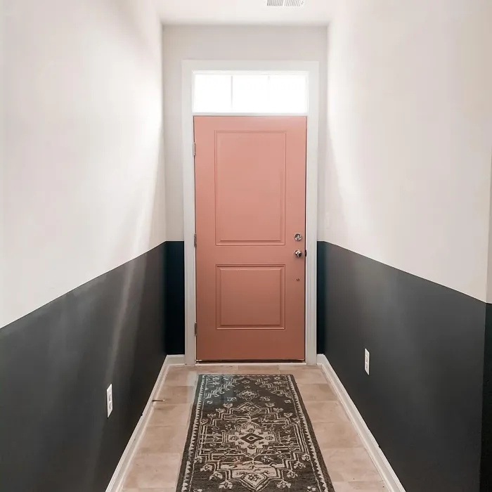 Behr Bubble Shell door color