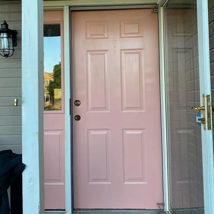 Bubble Shell front door color review
