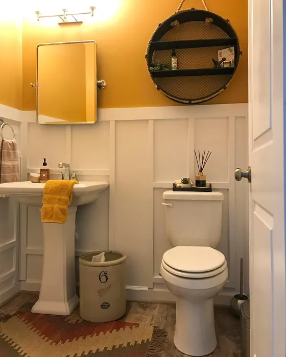 Behr Burnt Pumpkin bathroom color