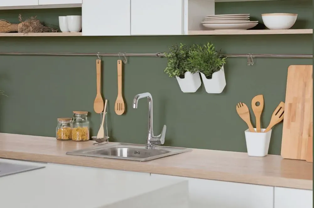 Behr Cactus Garden kitchen backsplash