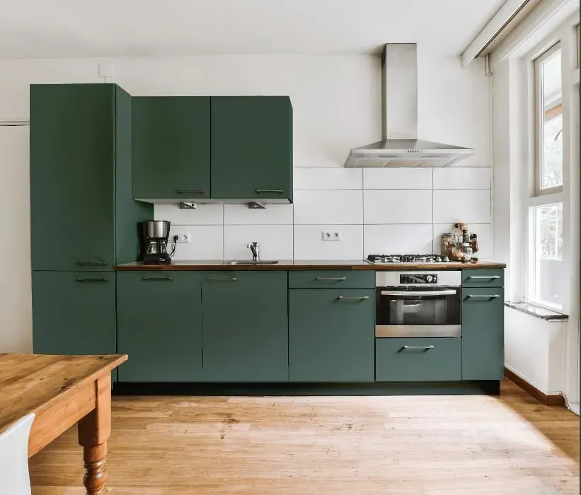 Behr Cameroon Green kitchen cabinets